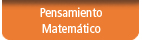 Pensamiento matemático